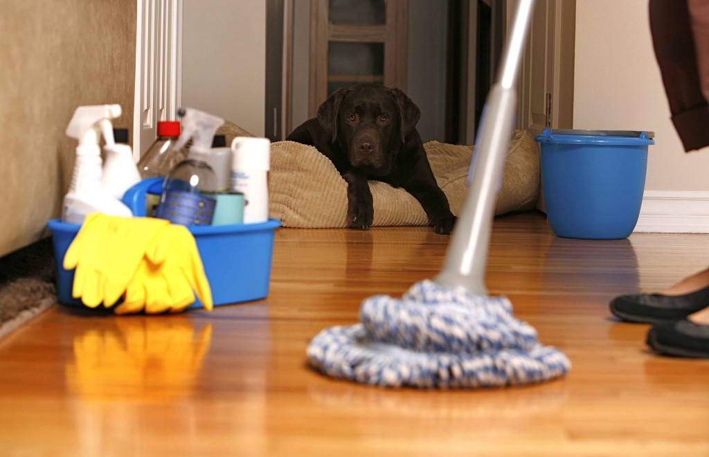 Cheap Cleaning Supplies For Your Home