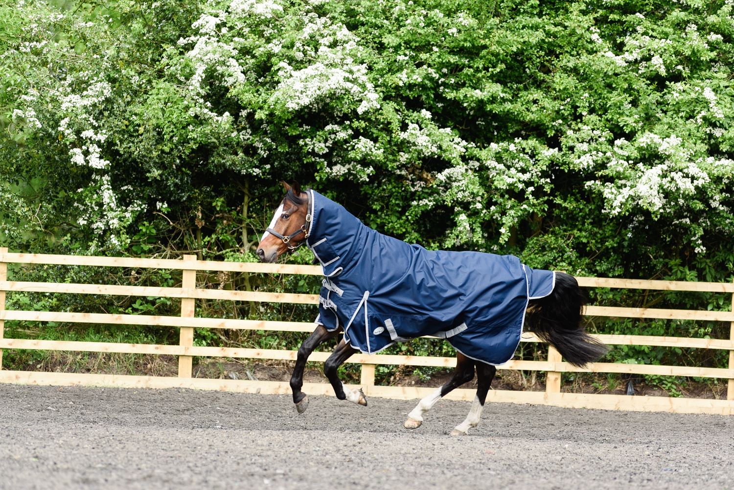 heavyweight turnout rug